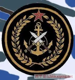 07式军装的海军陆战队的臂章,要照片. 谢谢!