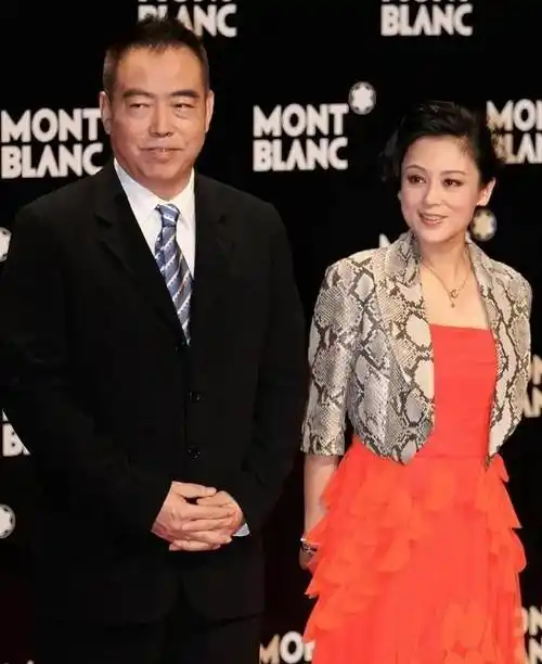 陈凯歌老婆认真打扮起来真美,穿蛇皮外套配亮色裙,看着有贵妇感_颜色