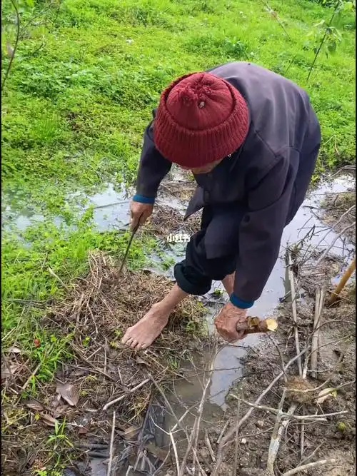 农村人真实生活