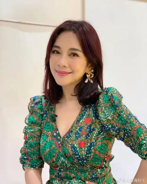 70后港台最美的13位女星她们个个漂亮大气你还知道谁