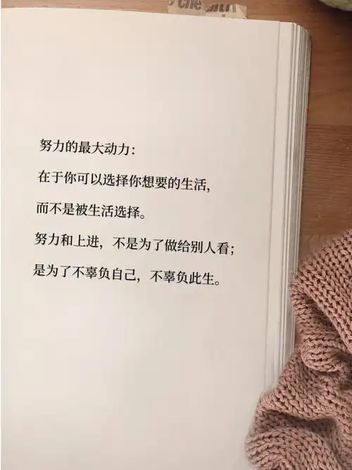 努力最大的动力励志文案