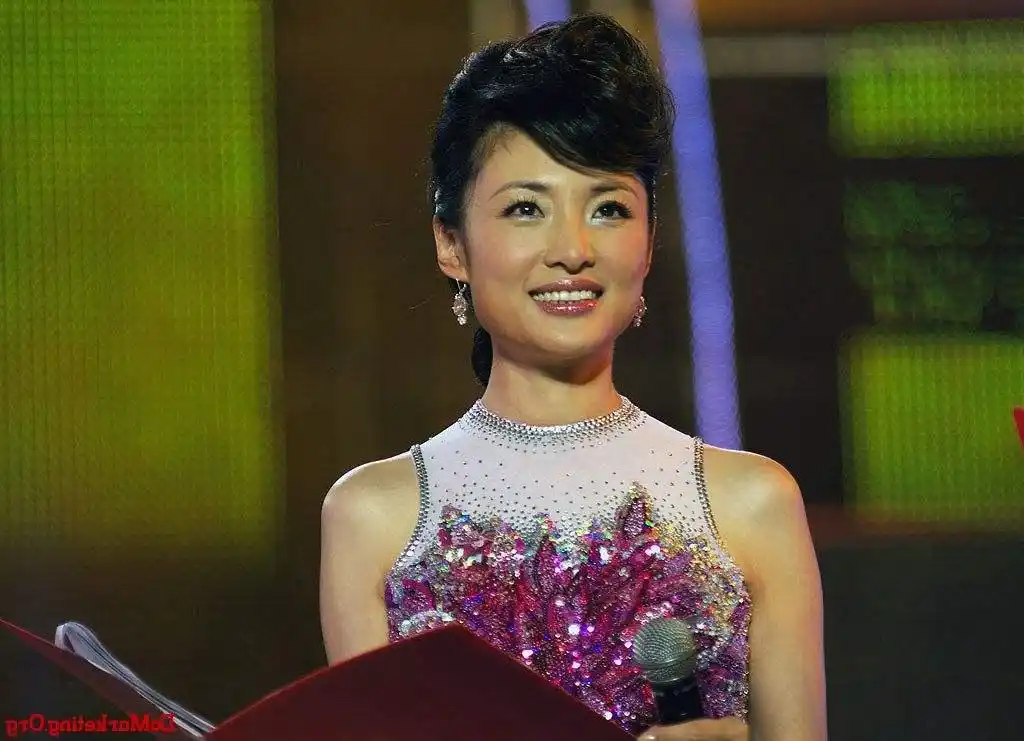 桑晨:现为中央电视台《国家记忆》节目主讲人