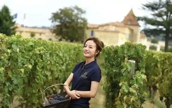 马云二任老婆古灵图片(赵薇的) - 赤虎壹号