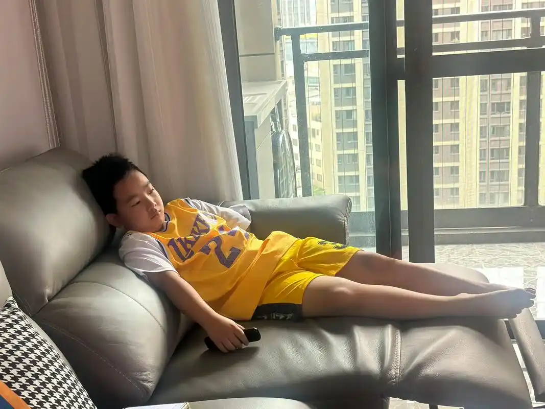 生活状态 葛优躺看电视