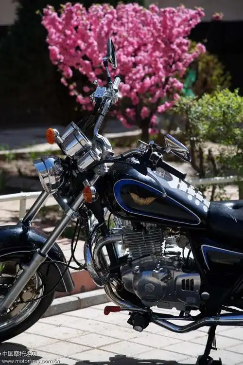 经典美式太子--望江铃木250(牌照 手续全)