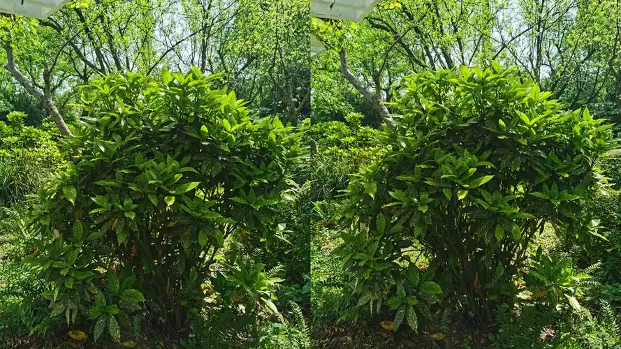 裸眼3d作品集第30期用平行眼才能看到立体效果哦