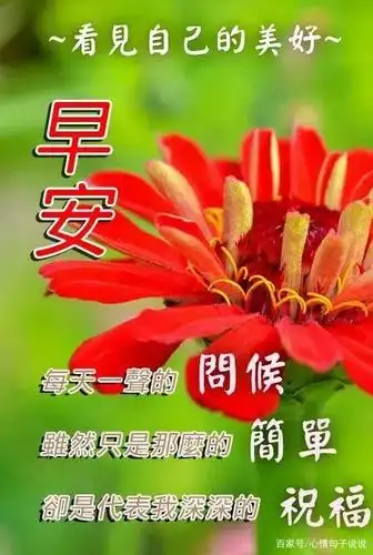 早安问候语带字祝福图,早上好温馨祝福语