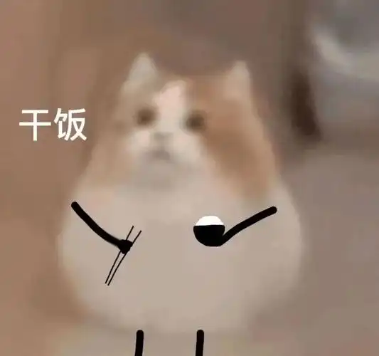 猫咪干饭沙雕搞笑逗gif动图_动态图_表情包下载_soogif