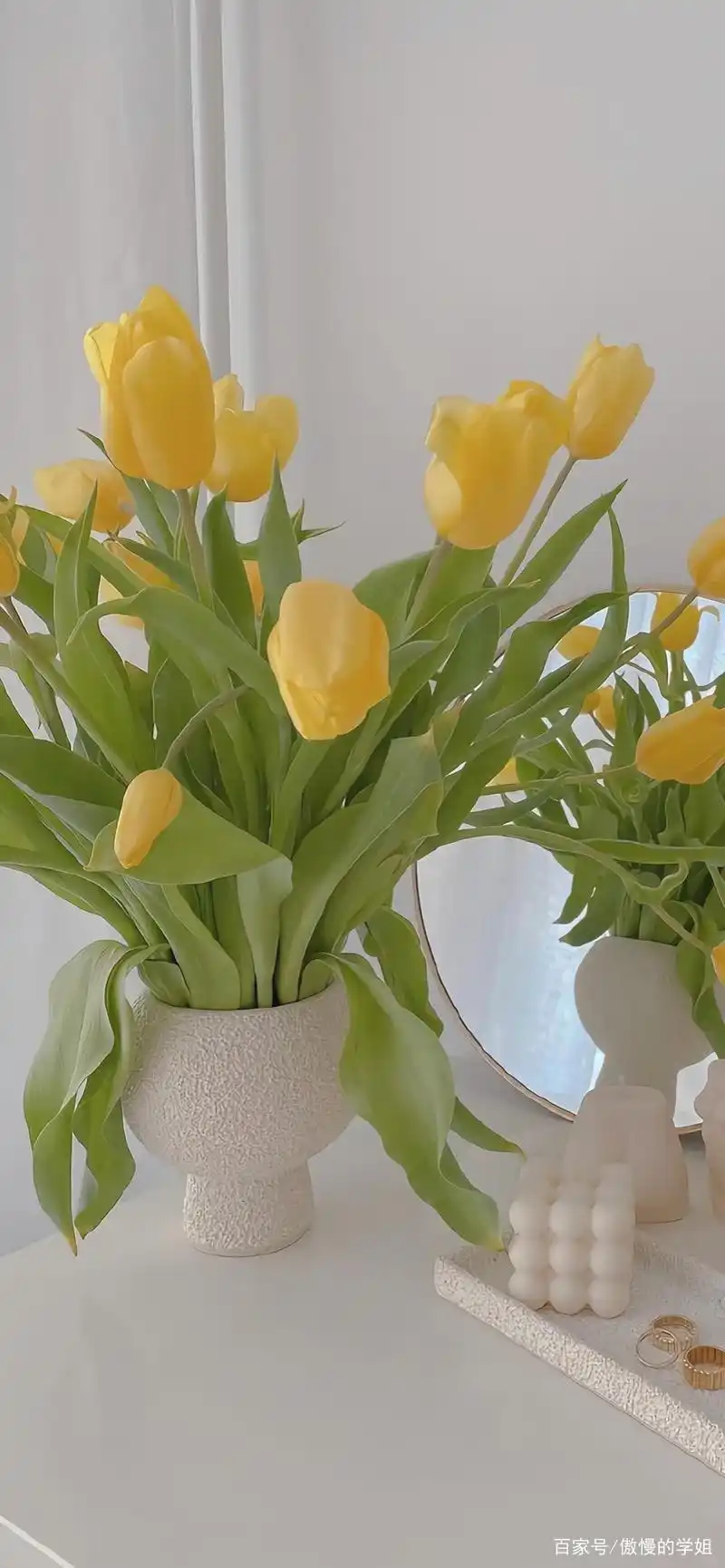 鲜花背景图壁纸