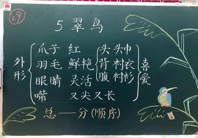 90后老师板书走红粉笔字堪比印刷体笔笔惊艳