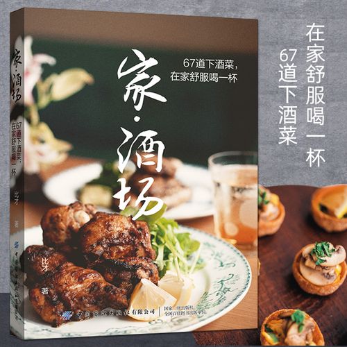 67道下酒菜 在家舒服喝一杯  家庭酒桌餐桌下酒料理小品 下酒菜菜谱