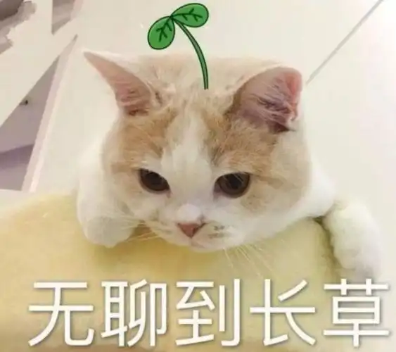 无聊的幽默句子有什么?