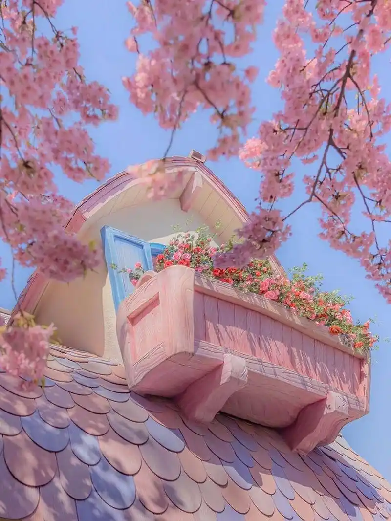 背景图 有没有人和我一样超级喜欢这些花花还有各种浪漫有意境天空的