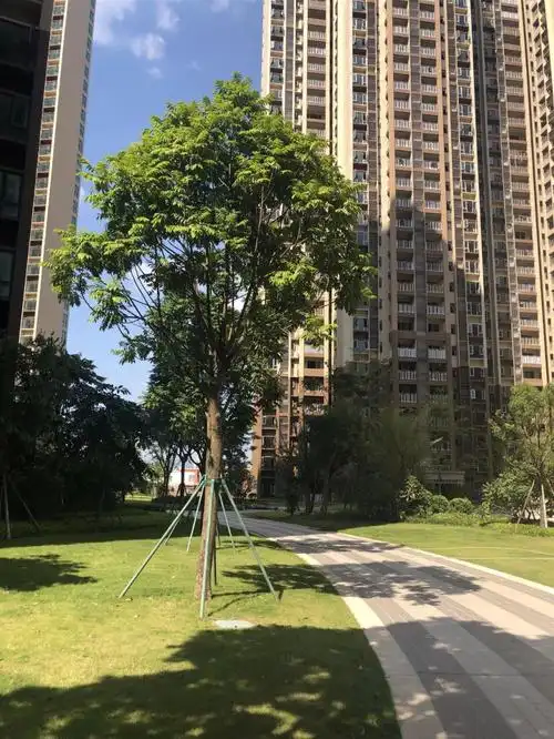 河源雅居乐花园9月家书 最新工程进度为您播报!