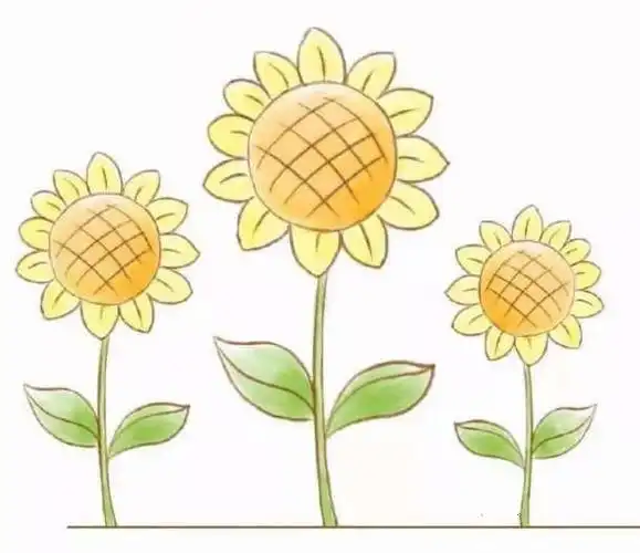 向日葵简笔画