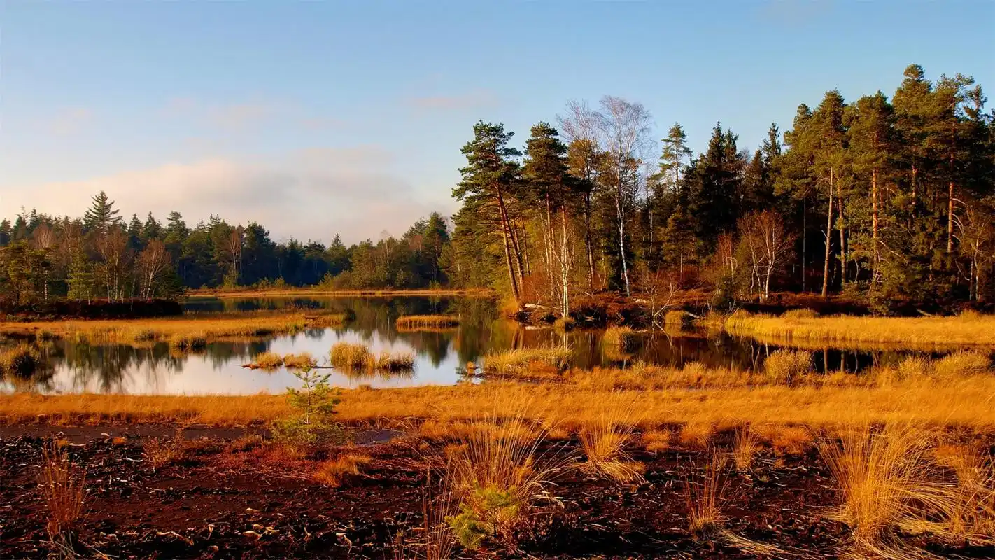 唯美的秋色美景自然风光高清电脑桌面主题壁纸图片(十二)