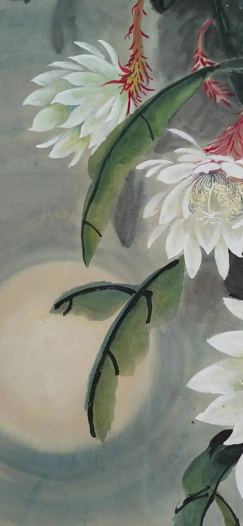 《怒放》小玉斋画昙花#原创作品  - 抖音