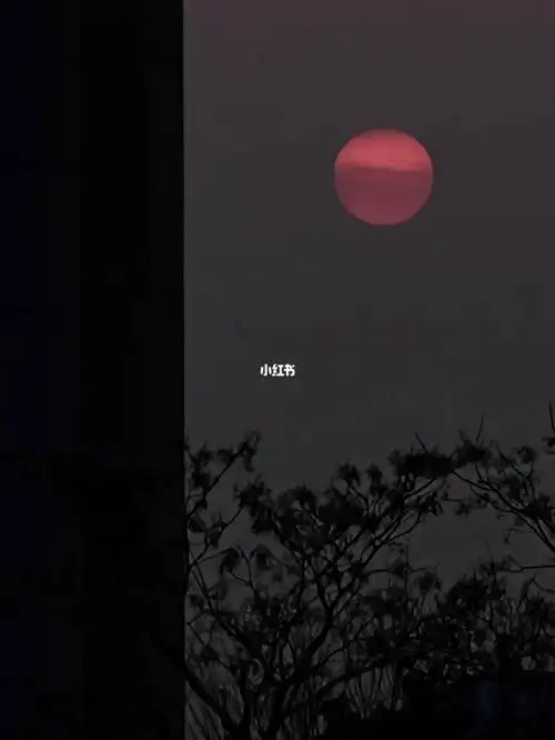 浪漫在日落前陷落