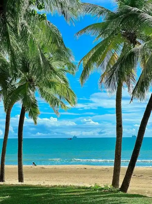 椰梦长廊是环三亚湾修建的一条著名的海滨风景大道,有"亚洲第一大道"