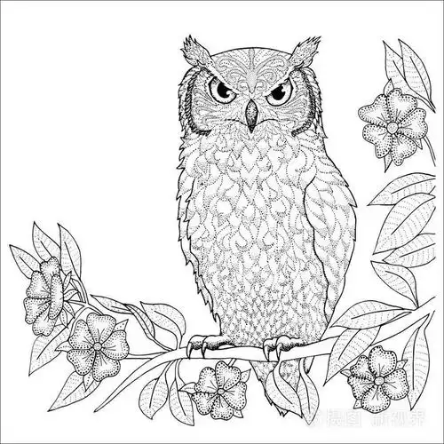 猫头鹰手绘矢量艺术