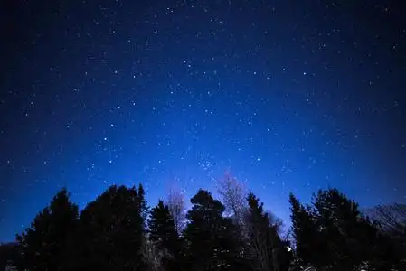 在晚上的农村在晚上与树和星星的农村冬季景观.照片