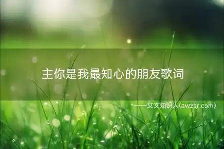 主你是我最知心的朋友歌词(《主你是我最知心的朋友》歌词)