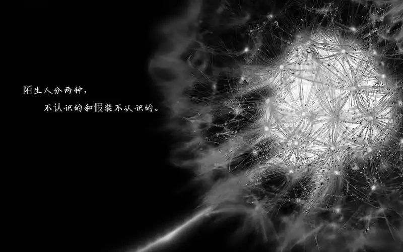 一个人的伤感说说配图