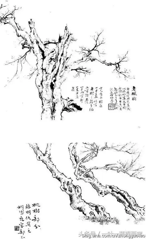 工笔线描稿国画学习资料画树课徒稿白描百树山水画谱