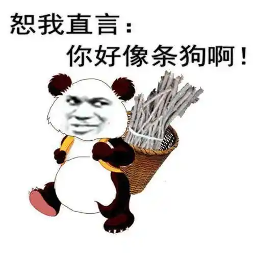 恕我直言你好像条狗啊表情包素材搞笑图片表情