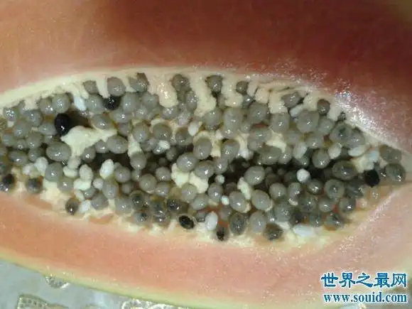 盘点世界上最恶心的图片眼睛已被辣瞎胆小慎入