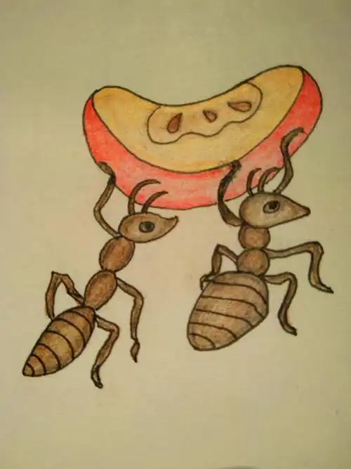 【一日一绘】临摹空糖~蚂蚁搬苹果96 - 简书