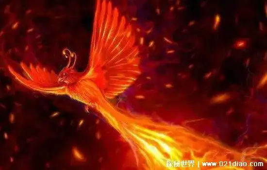 世界上最后一只九尾狐,有人目睹还拍了照片(假的/根本不存在)