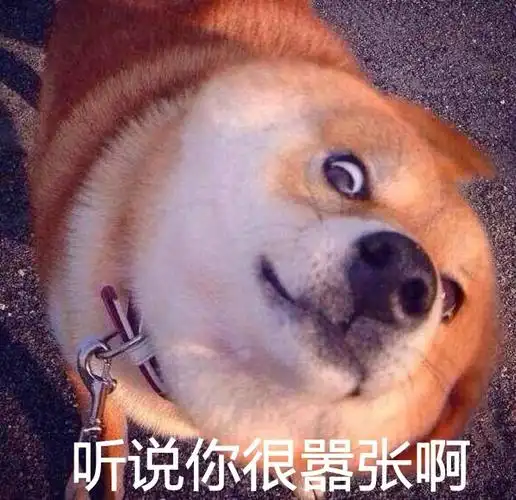 听说你很嚣张啊瞪眼doge表情包doge怼人表情表情