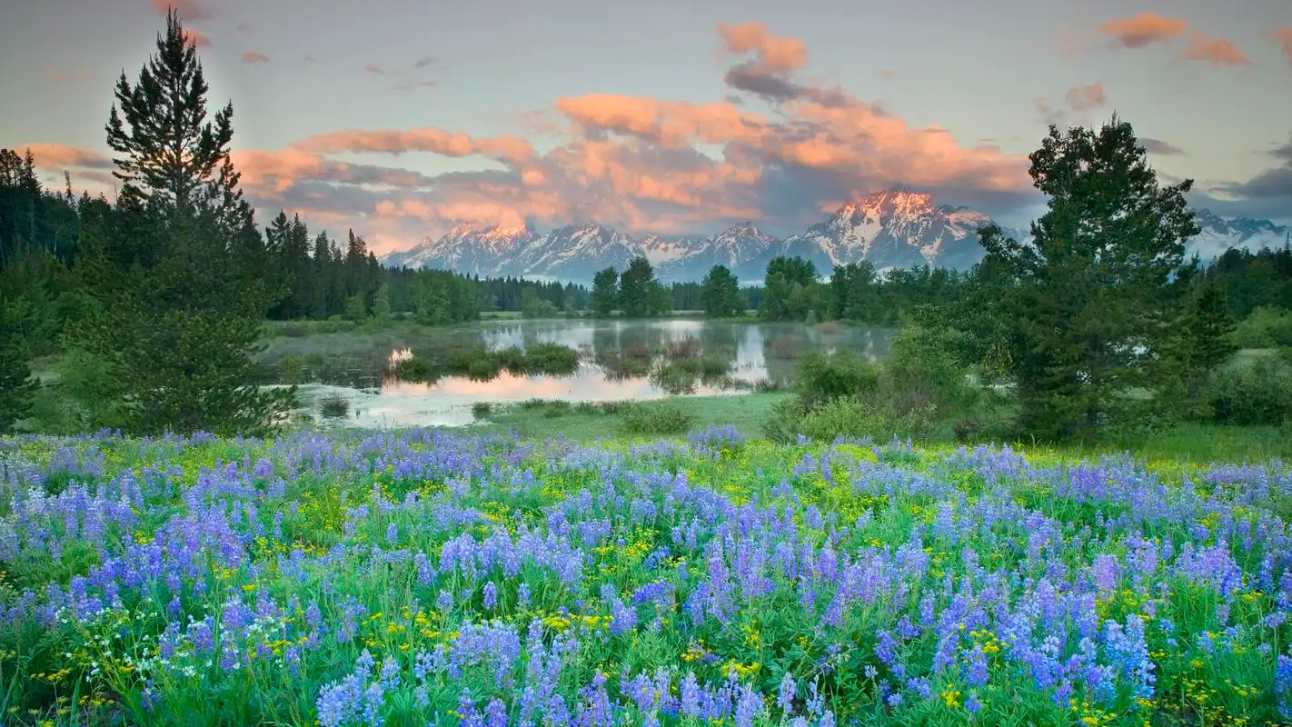 大自然清新绿色护眼高清景色图片电脑桌面壁纸下载