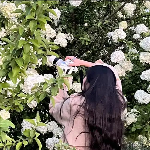 我和镜头的故事|摄影师专用头像|女生头像2034期