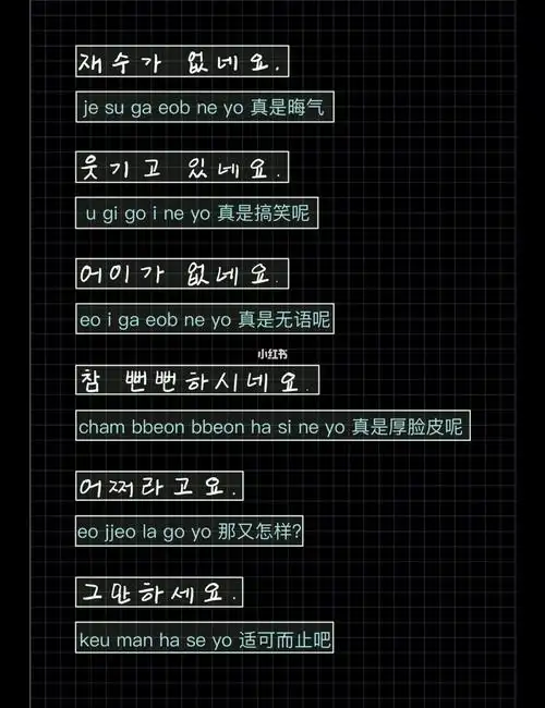 韩语骂人但是敬语266