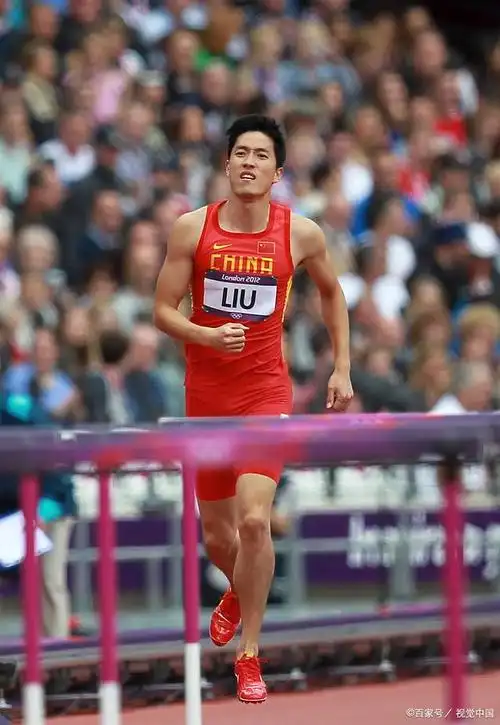 刘翔个人经历回顾