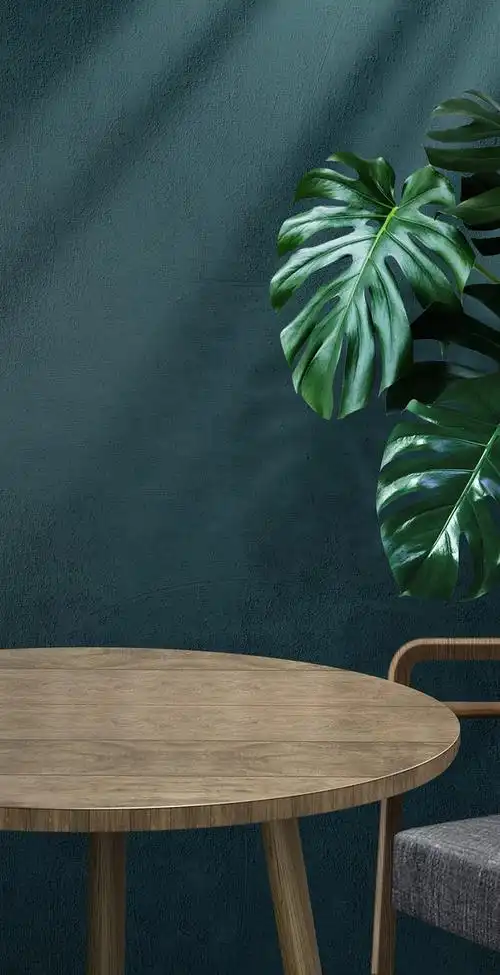 16:23:55室内桌面场景电商——素材,背景周公子丿同采自www