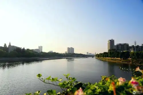 "最美浉河"摄影作品集锦——信阳市九中致远班出品