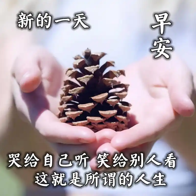 2021新年早上好祝福语图片大全牛年新年祝福问候句子