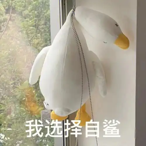 一波大白鹅表情包买了一只鹅送给关系好的同事被领导同事各种玩出花