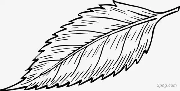 树叶书签卡通简笔画