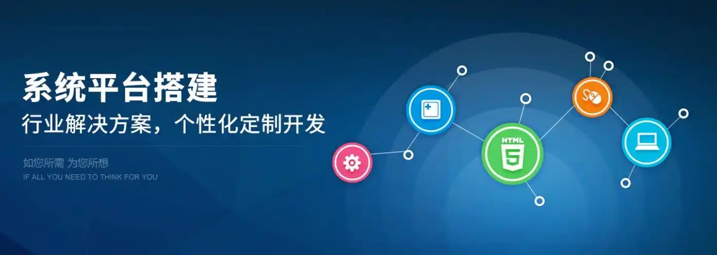 软件开发,软件系统二次开发,数据迁移--解放号