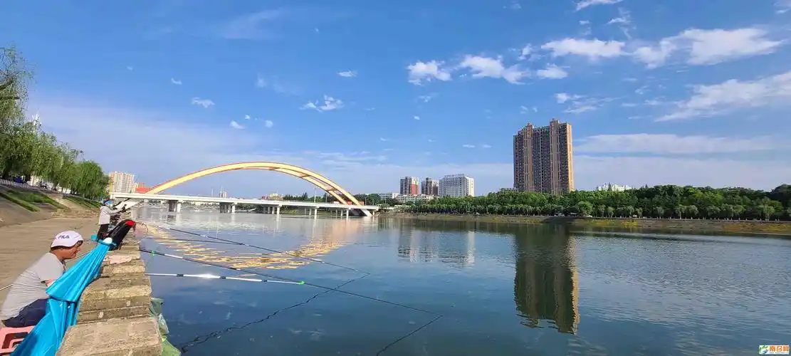 信阳市浉河区贾林粉皮焖鸡