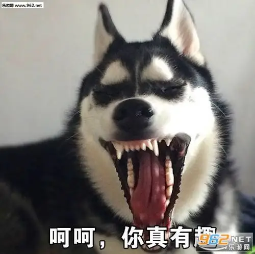 活着不好吗二哈表情包