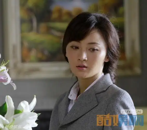 姚笛远去的飞鹰剧照