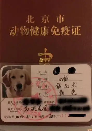 北京的狗证4:遛狗尽量躲开人员外出频繁的时候,早晨早点散步,晚上晚点