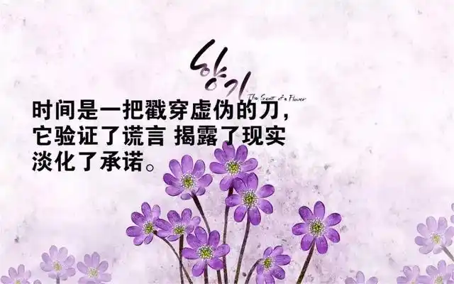 语录经典短句说说【情感语录经典短句说说】