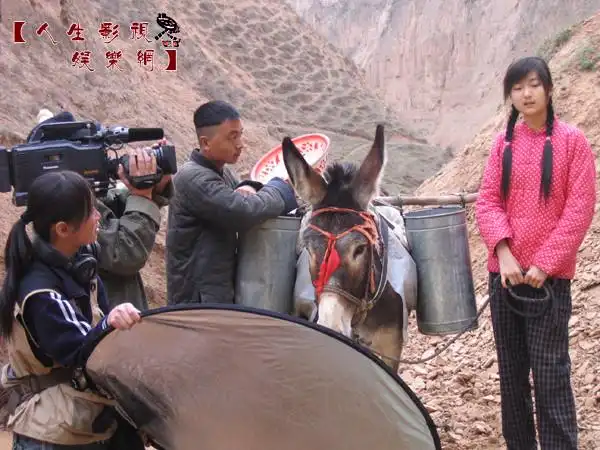 网联合制作中国庆阳影视剧展播作品十五 电视剧《梨树沟往事》专题