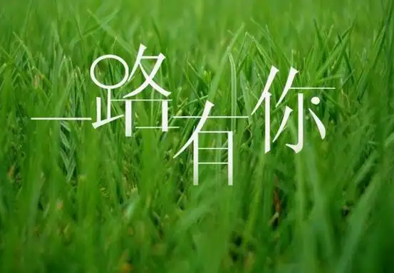 以路为话题的优秀作文4篇